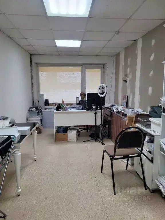 Офис в Новосибирская область, Новосибирск ул. Ленина, 12 (36 м) - Фото 1