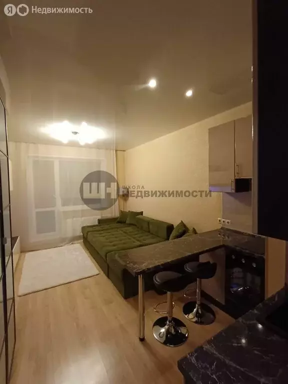 Квартира-студия: Санкт-Петербург, Пулковская улица, 1к2 (24 м) - Фото 2