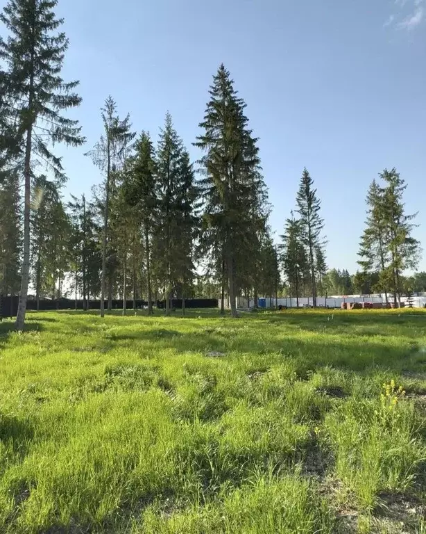 Участок в Московская область, Клин городской округ, Ели Эстейт ... - Фото 2