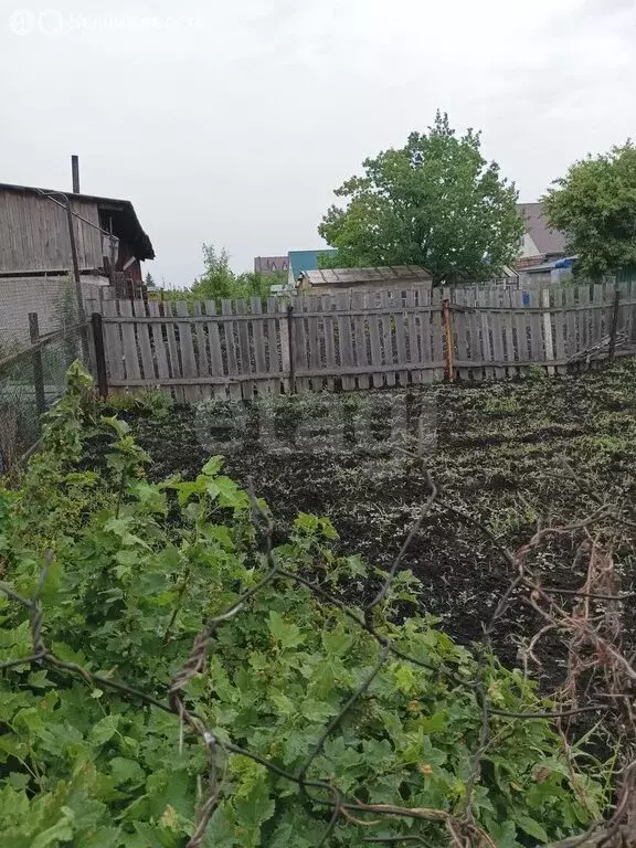 Участок в Тюменская область, Ишимский муниципальный округ, село ... - Фото 2