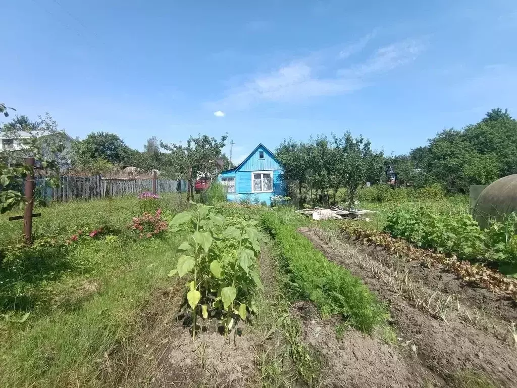 Дом в Смоленская область, Смоленск Текстильщик-3 садоводческое ... - Фото 0