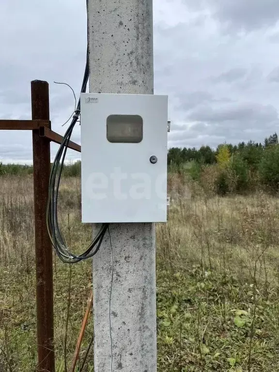Участок в Пермский край, Пермский муниципальный округ, Гляденовский ... - Фото 2