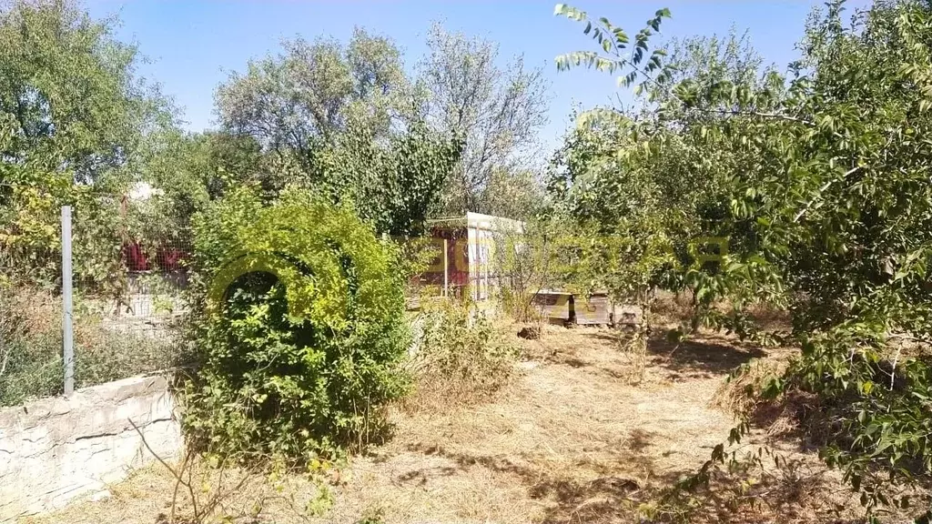 Участок в Краснодарский край, Темрюкский район, пос. Сенной Набережная ... - Фото 2