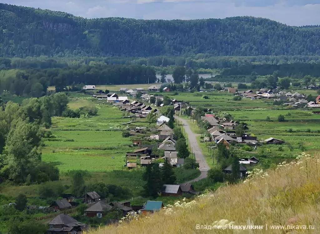 Дом в Красноярский край, Курагинский район, с. Курское Октябрьская ул. ... - Фото 0