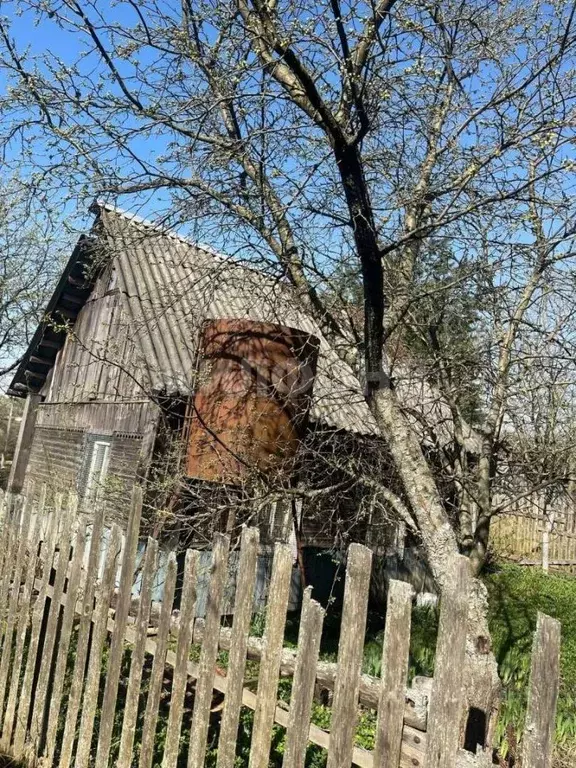 Участок в Брянская область, Брянск Родина садоводческое объединение,  ... - Фото 1