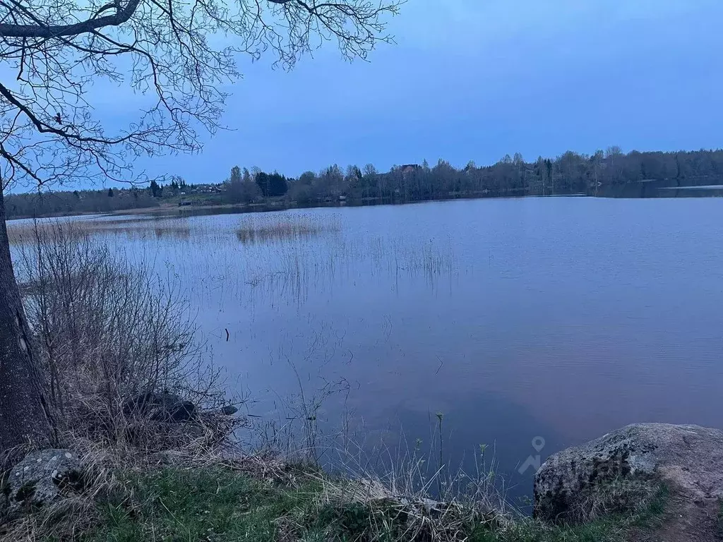 Купить дом Петрушина Гора, Лужский район, продажа домов Петрушина Гора,  Лужский район в черте города на AFY.ru