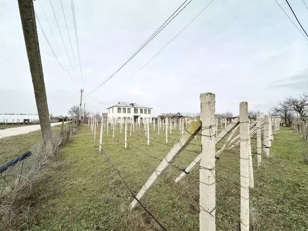 Участок в Крым, Джанкойский район, Рощинское с/пос, с. Рощино ул. ... - Фото 1