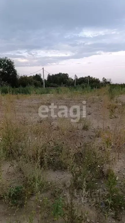 Участок в Тюменская область, Тюмень Ясень СНТ, ул. Вторая, 132 (9.0 ... - Фото 1
