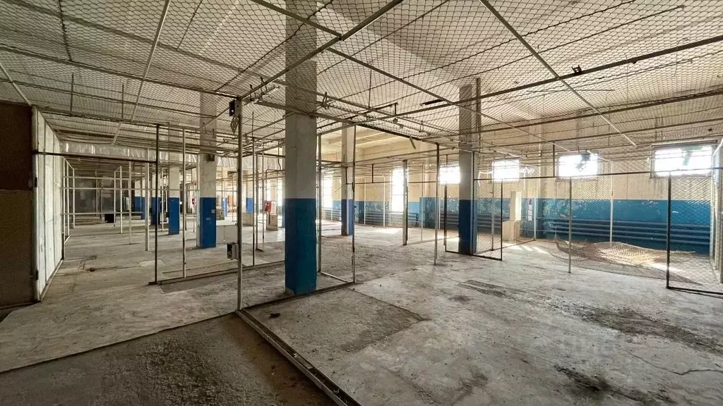 Торговая площадь в Оренбургская область, Оренбург ул. Мусы Джалиля, 6 ... - Фото 0