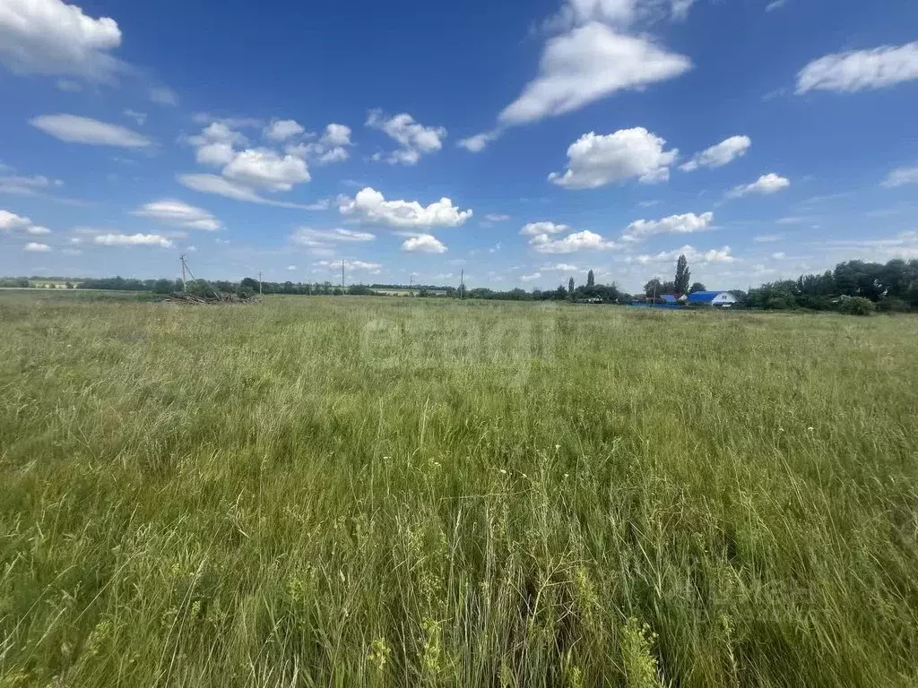 Участок в Воронежская область, Борисоглебский городской округ, с. ... - Фото 0