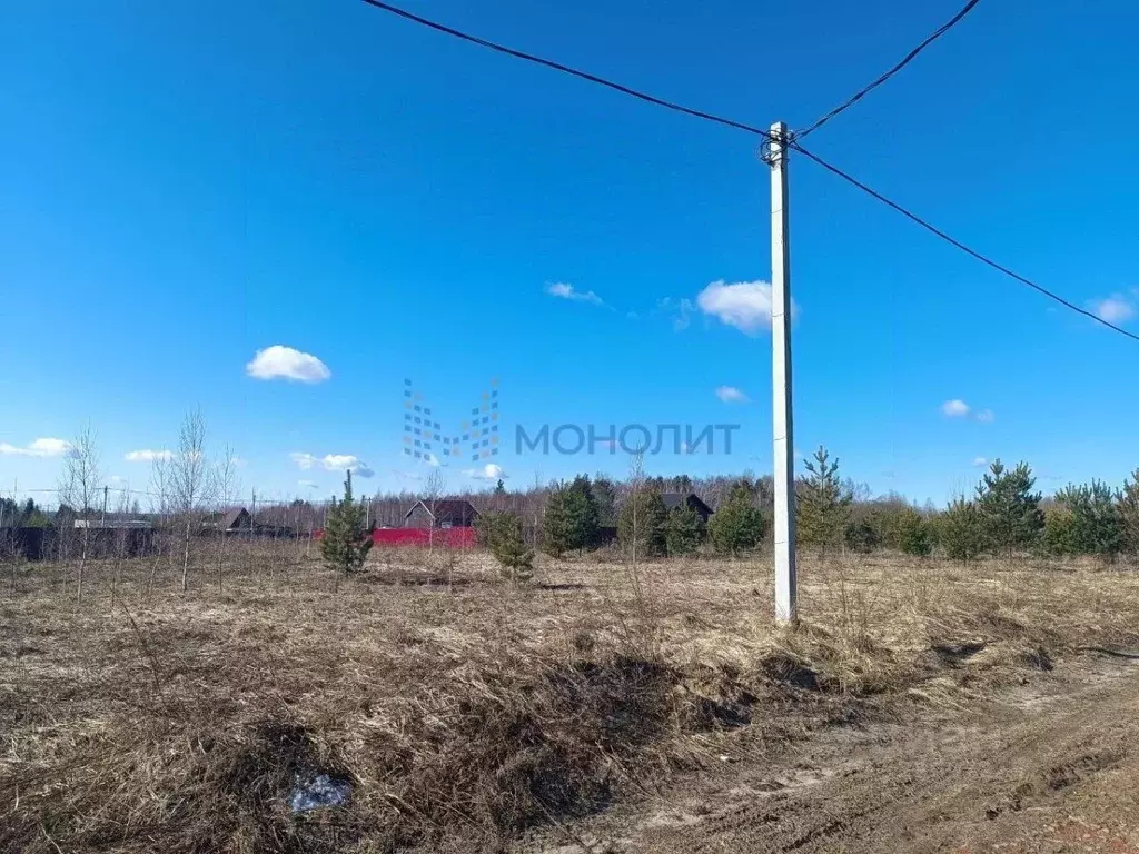 Участок в Нижегородская область, Богородский муниципальный округ, ... - Фото 1