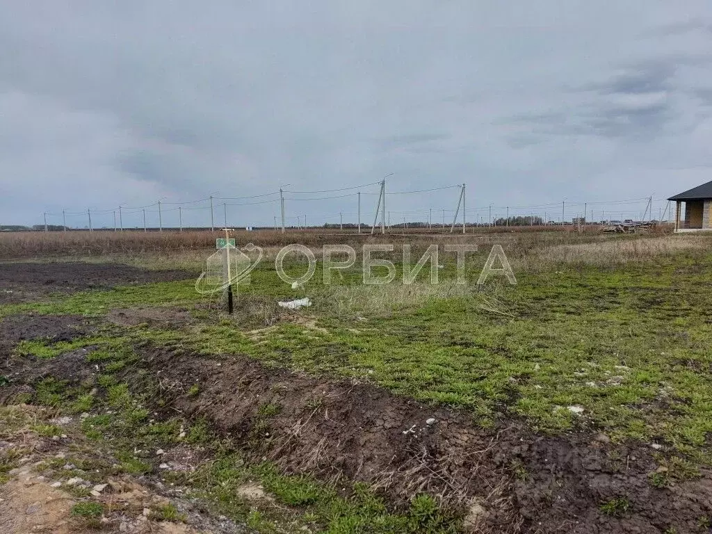 Участок в Тюменская область, Тюменский район, с. Кулига, Сказка кп ул. ... - Фото 1