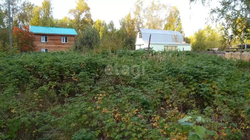 Участок в Коми, Сыктывкар ул. Кутузова, 20 (8.0 сот.) - Фото 2