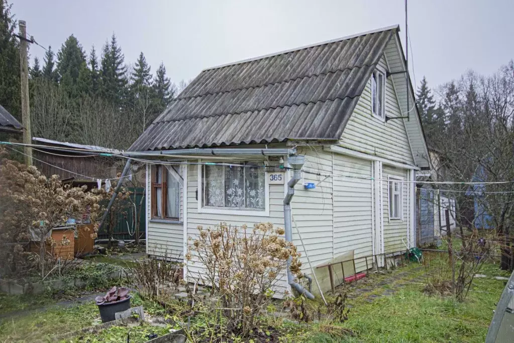 Дом в Москва Лесные Дали СНТ, 365 (36 м) - Фото 2
