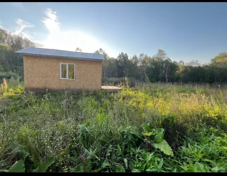 Участок в Кемеровская область, Новокузнецкий муниципальный округ, с. ... - Фото 2