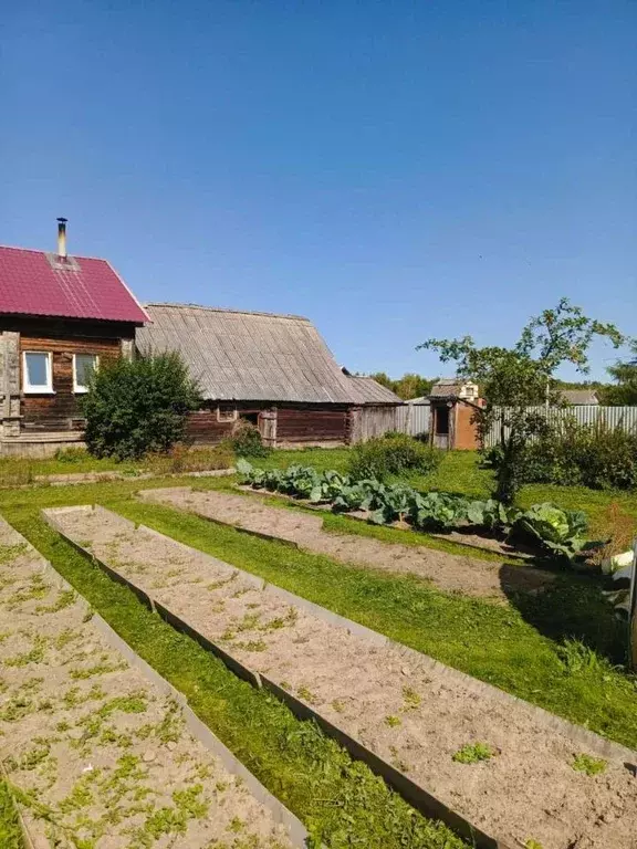 Дом в Тверская область, Кашинский городской округ, д. Гапшино  (86 м) - Фото 0