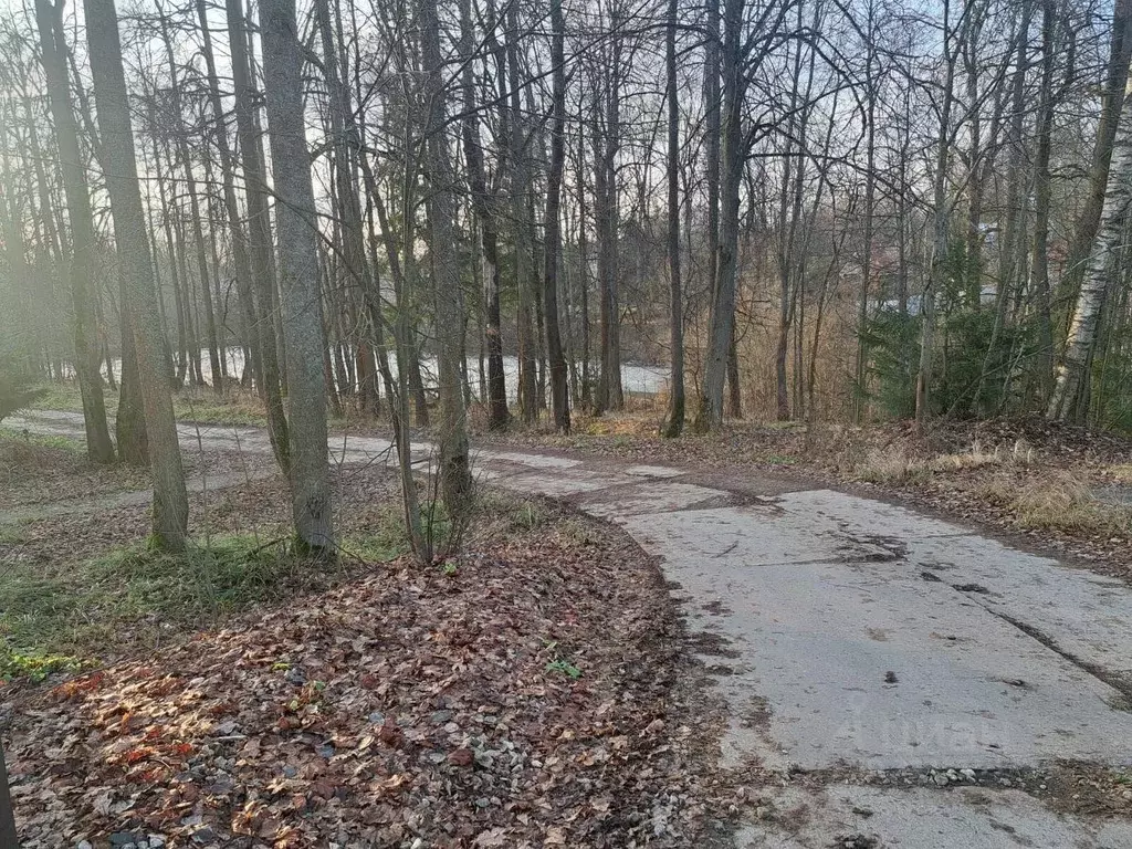 Участок в Московская область, Пушкинский городской округ, д. ... - Фото 1