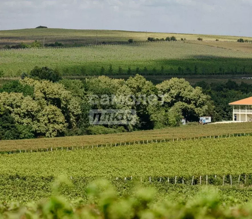 Участок в Краснодарский край, Крымский район, с. Молдаванское ... - Фото 0