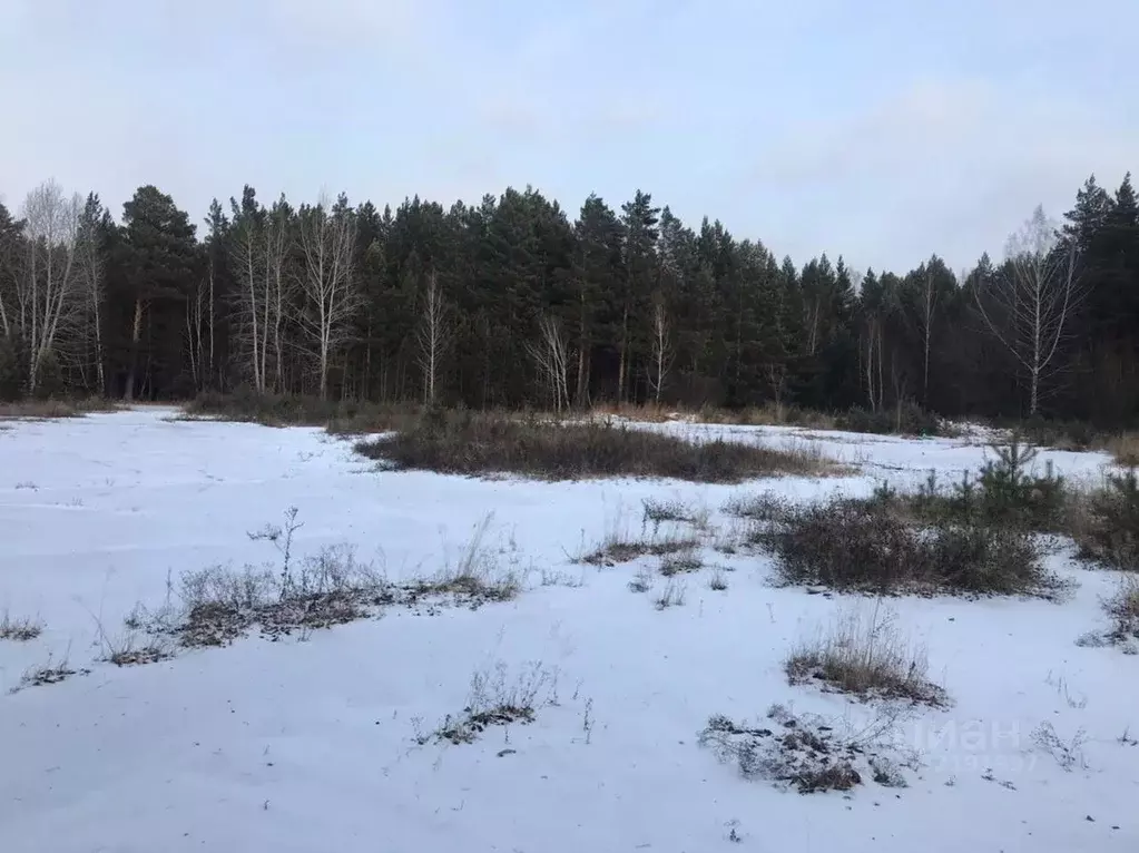 Участок в Иркутская область, Тайшет  (155.37 сот.) - Фото 1