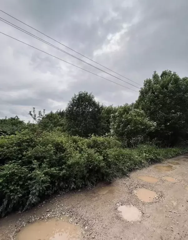 Участок в Псковская область, Печорский муниципальный округ, д. Песок  ... - Фото 1