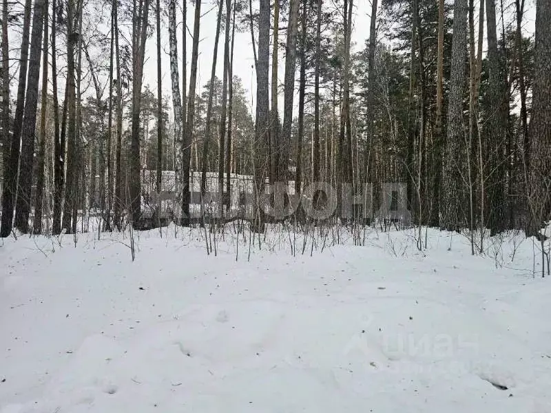 Участок в Новосибирская область, Новосибирск Европейский кп, ул. ... - Фото 2