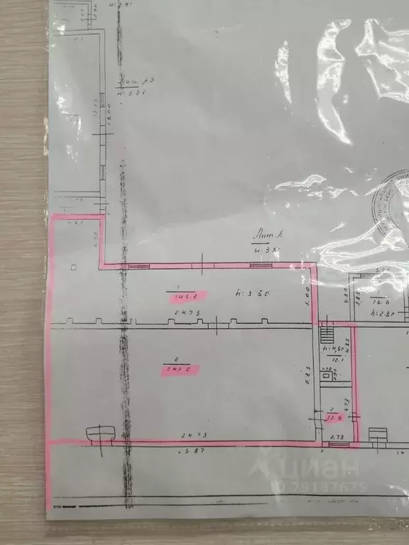 Торговая площадь в Саратовская область, Саратов ул. 1-я Садовая, 100 ... - Фото 2