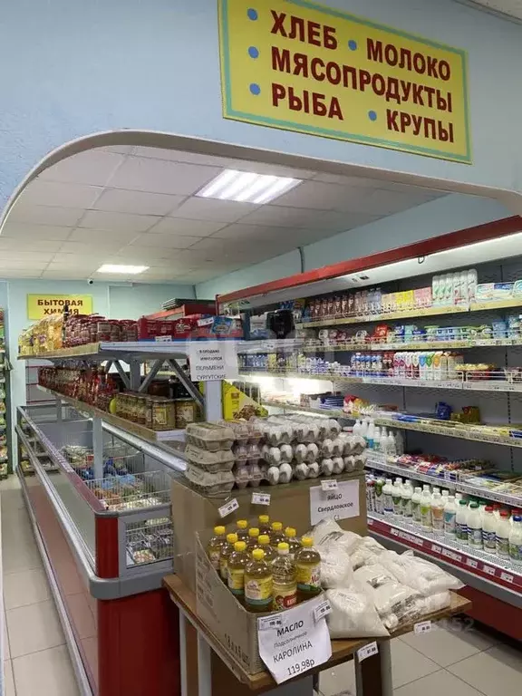 Торговая площадь в Ханты-Мансийский АО, Сургут ул. Лермонтова, 4/2 (96 ... - Фото 0