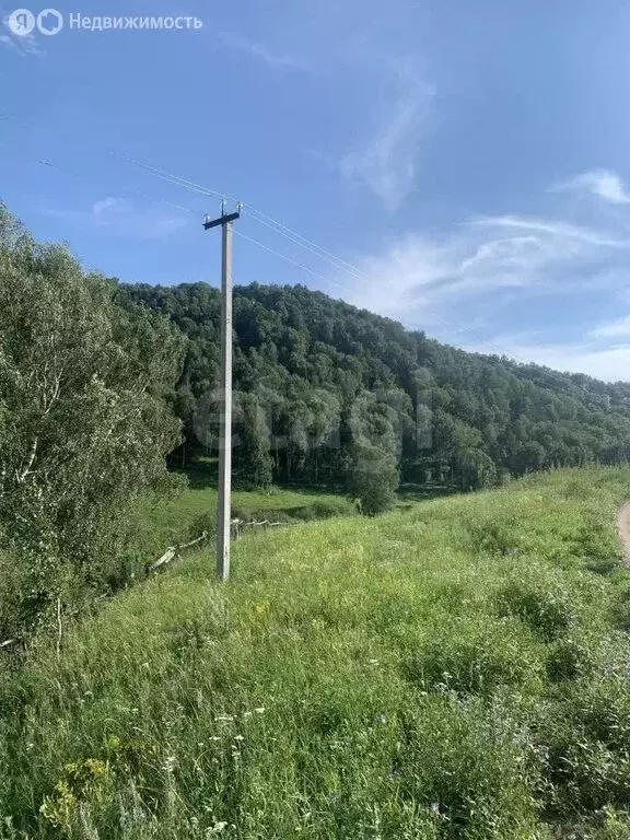 Участок в Шебалинский район, село Шебалино (7.93 м) - Фото 2