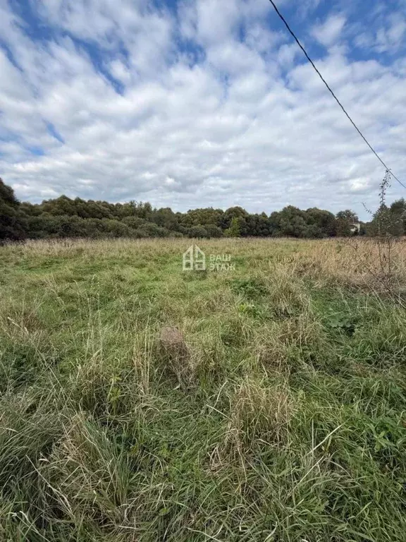 Участок в Калужская область, Перемышльский район, Хотисино с/пос, д. ... - Фото 2