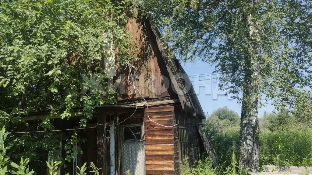 Дом в Новосибирская область, Новосибирский район, Каменский сельсовет, ... - Фото 1