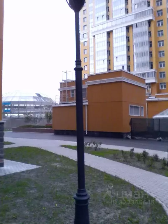 Студия Санкт-Петербург просп. Просвещения, 43 (29.4 м) - Фото 2