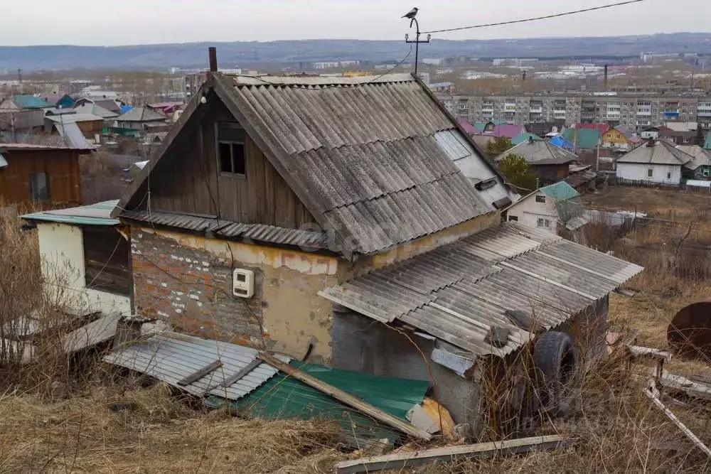 Участок в Кемеровская область, Новокузнецк Строитель-1 КМС СНТ, 527 ... - Фото 0