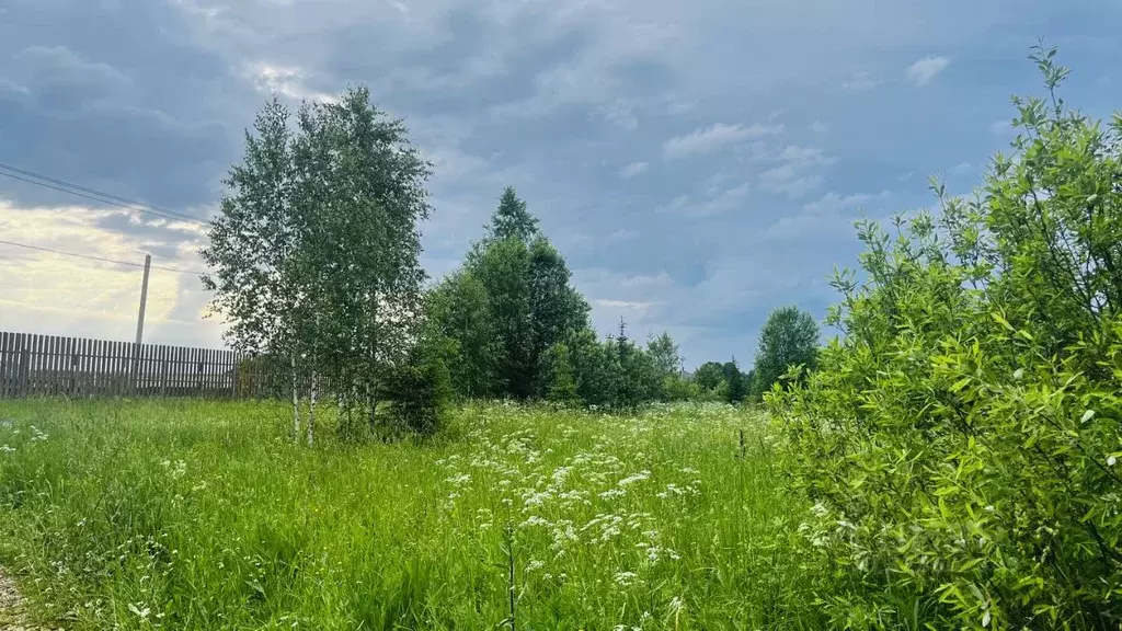 Участок в Московская область, Мытищи городской округ, пос. Трудовая ... - Фото 1