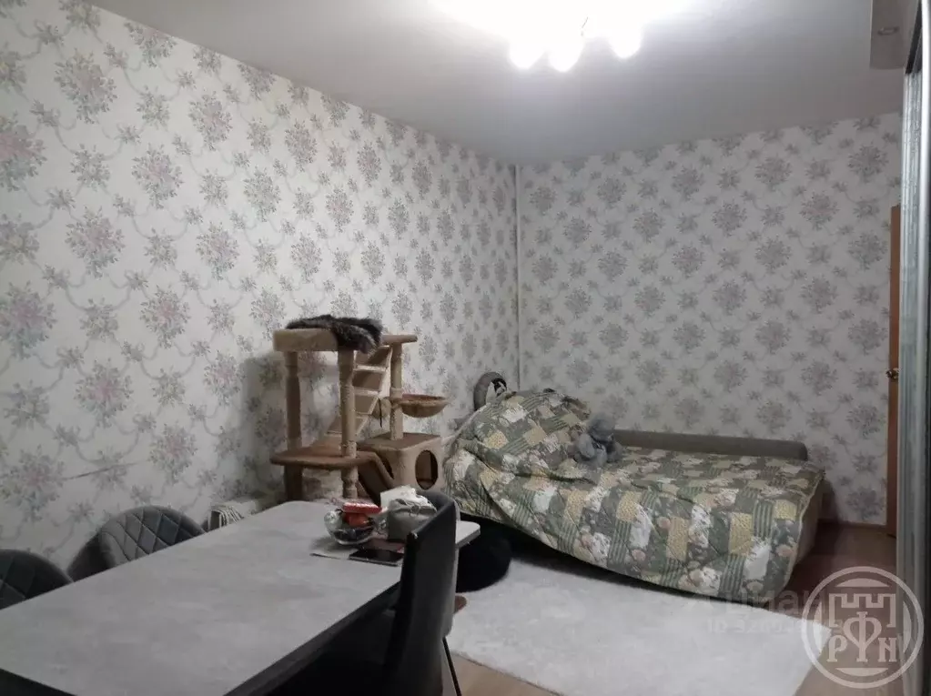 Комната Санкт-Петербург просп. Художников, 31К2 (35.0 м) - Фото 2