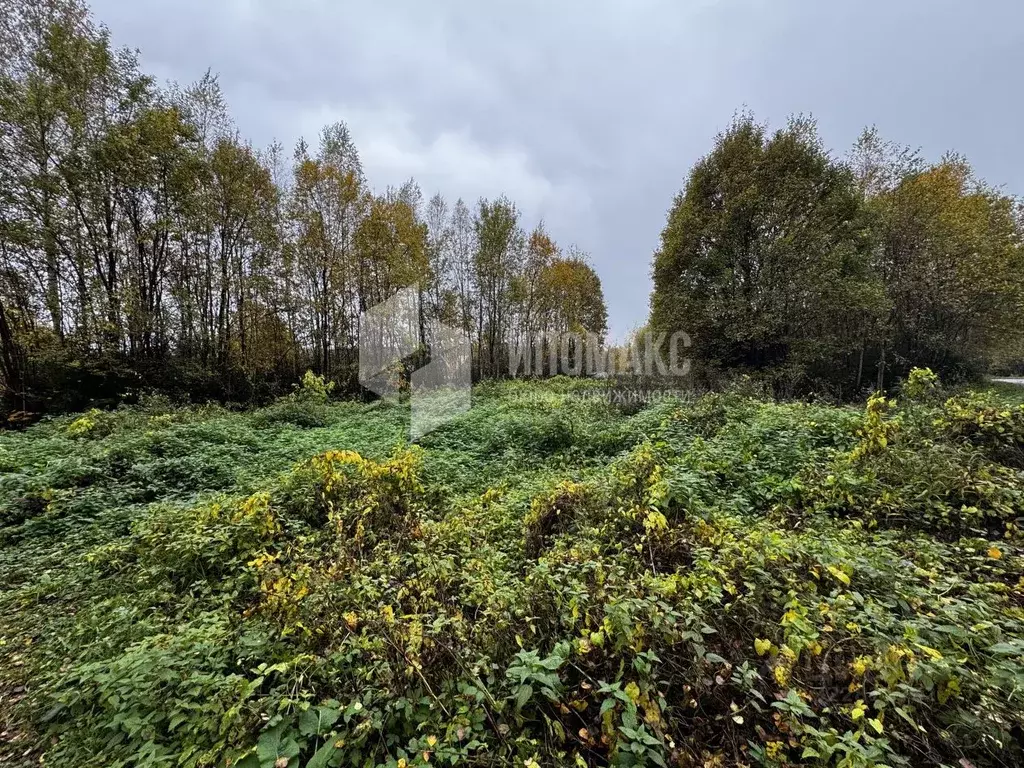 Участок в Москва д. Руднево, ул. Ореховая, 7 (15.0 сот.) - Фото 1