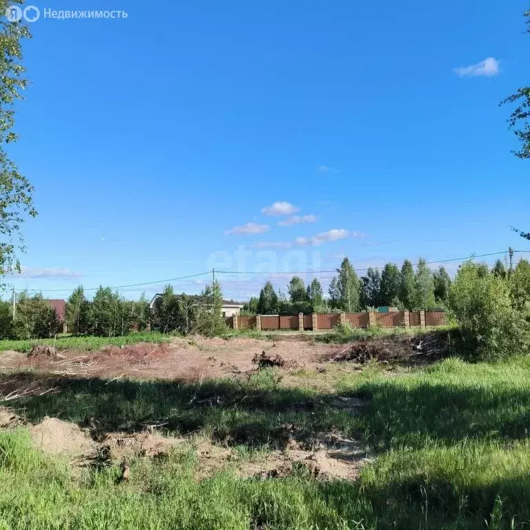 Участок в Нижнетавдинский район, садоводческое некоммерческое ... - Фото 1