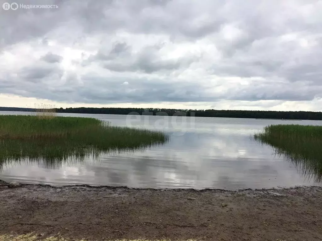 Участок в Тамбовский муниципальный округ, село Сурава (40 м) - Фото 2