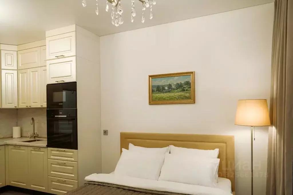 Студия Санкт-Петербург Уральская ул., 23 (25.0 м) - Фото 2