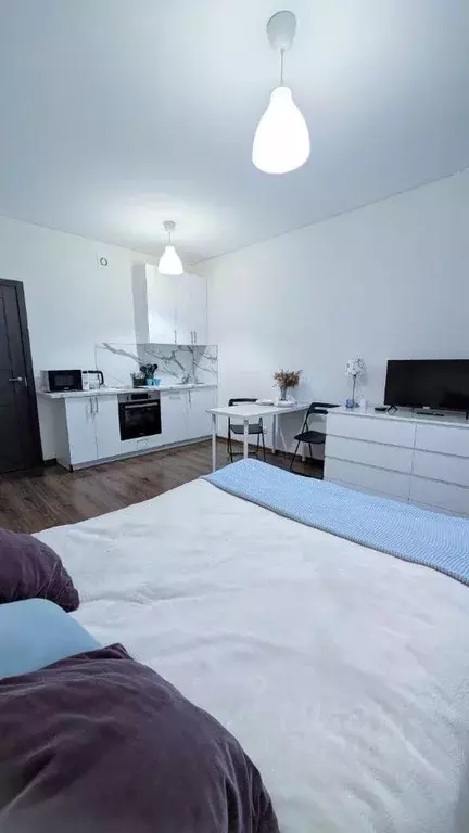 Студия Санкт-Петербург ул. Верхне-Каменская, 5 (24.6 м) - Фото 1