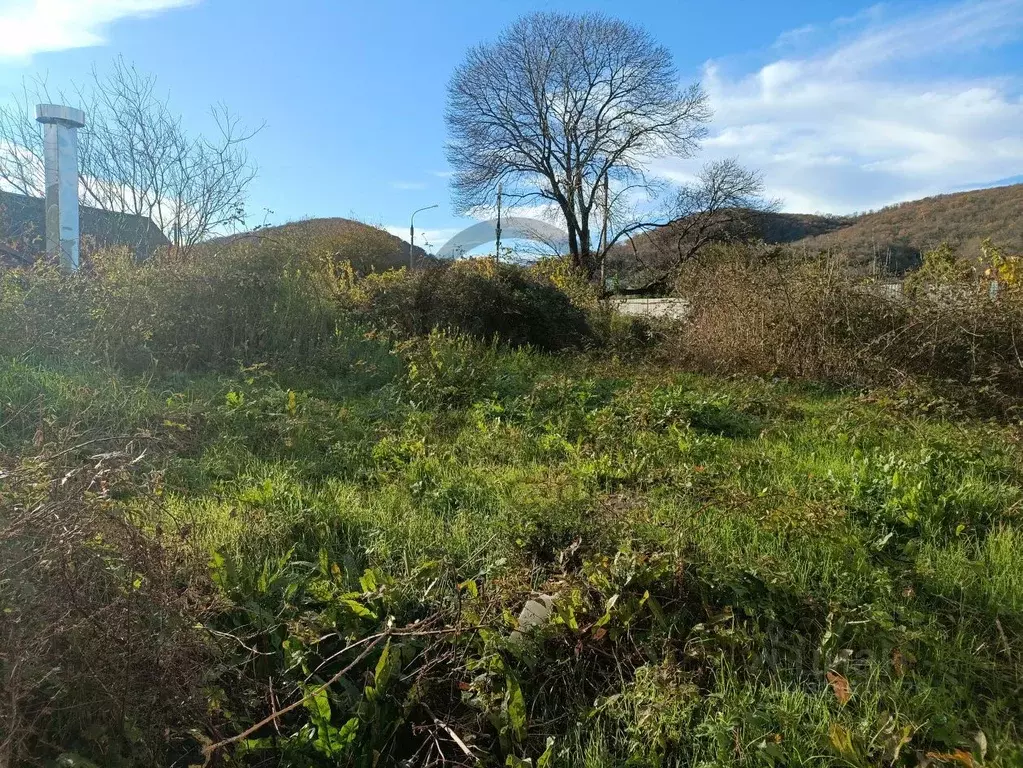 Участок в Краснодарский край, Туапсинский муниципальный округ, ... - Фото 1