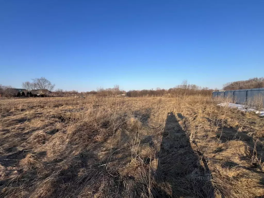 Участок в Воронежская область, Новоусманский район, с. Орлово ул. ... - Фото 2