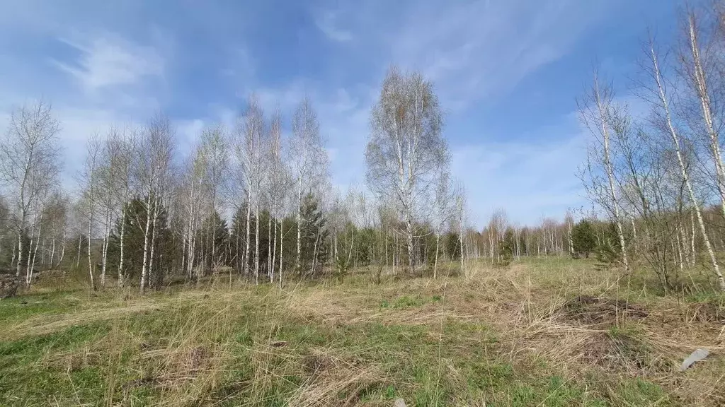 Участок в Кемеровская область, Кемеровский район, д. Солонечная, ... - Фото 1