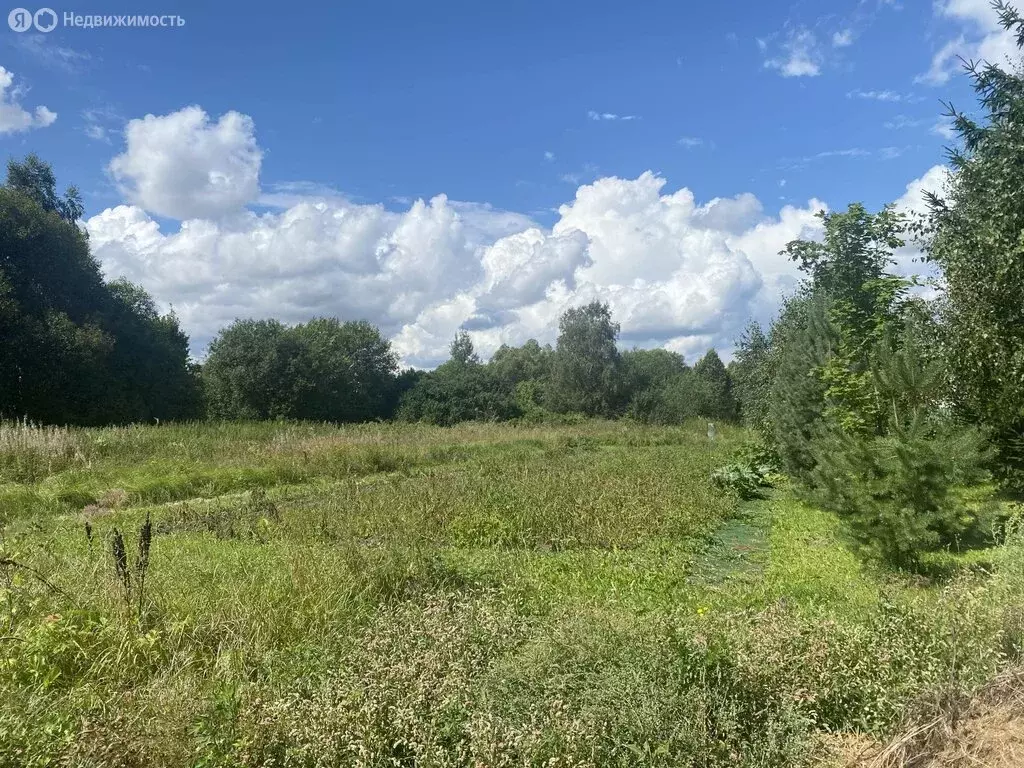 Участок в Московская область, городской округ Ступино, деревня ... - Фото 1