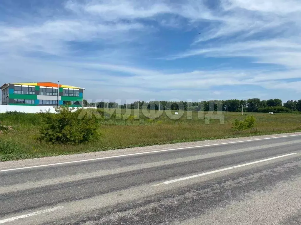 Участок в Калининградская область, Славский муниципальный округ, пос. ... - Фото 1