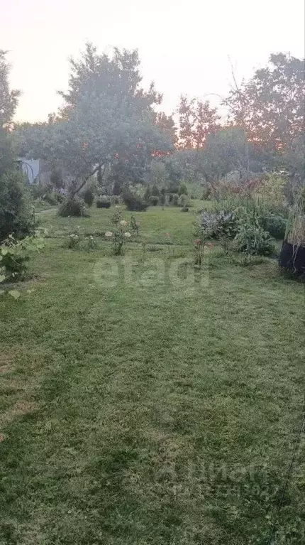 Участок в Калининградская область, Калининград Дружба-2 СНТ, проезд ... - Фото 1