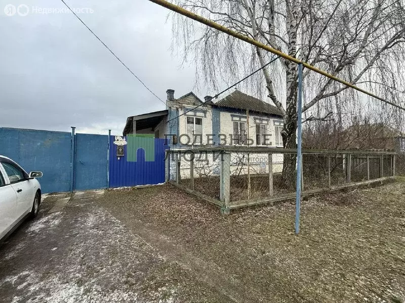 Дом в Корочанский район, Шляховское сельское поселение, деревня ... - Фото 2