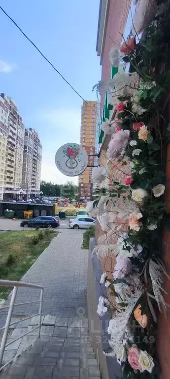 Помещение свободного назначения в Липецкая область, Липецк ул. ... - Фото 1