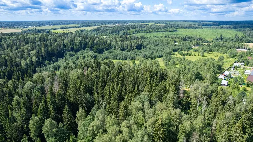 Участок в Московская область, Одинцовский городской округ, д. Супонево ... - Фото 1