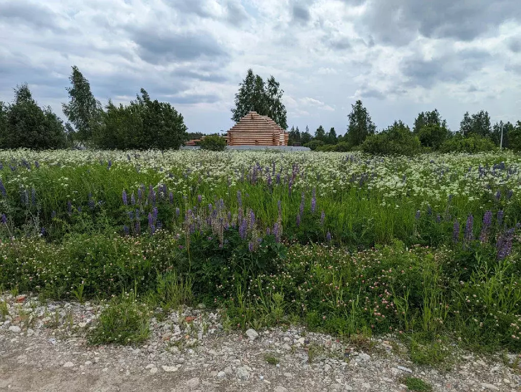 Продается участок в дп Новое Жирово-2 - Фото 0