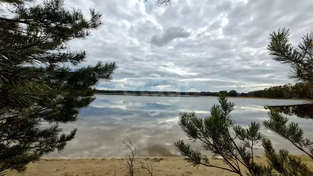 Участок в Нижегородская область, муниципальный округ Навашинский, село ... - Фото 1